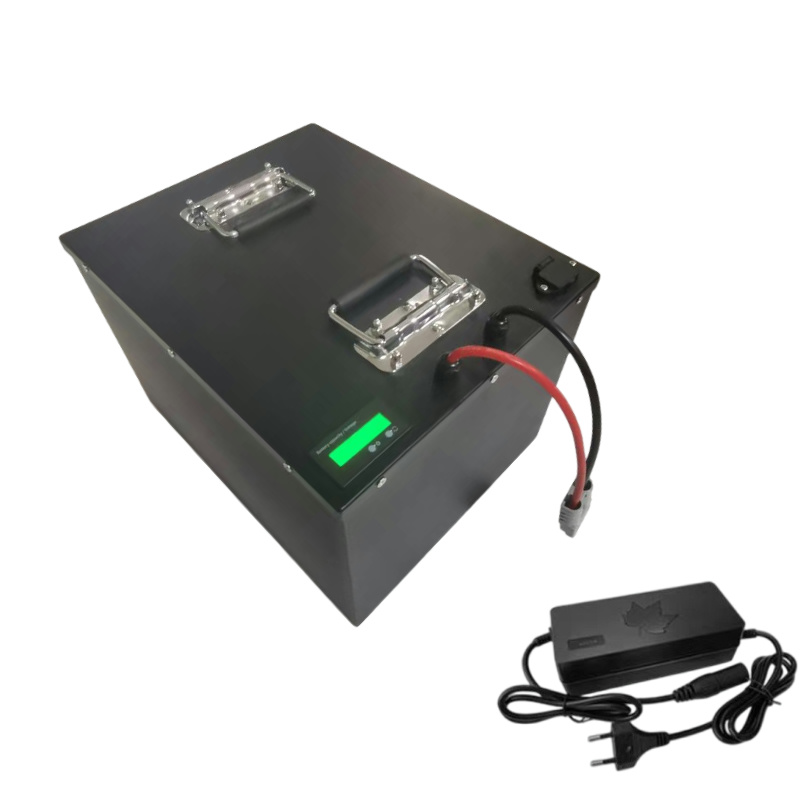Batteria al Litio Lifepo4 60V  - 60V 50Ah Electric Scooter Battery recensione e prezzo